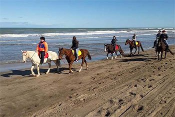 alquiler caballos villa gesell